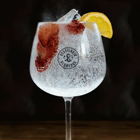 Drink The Bravalley Gin Tônica, servido para apreciação