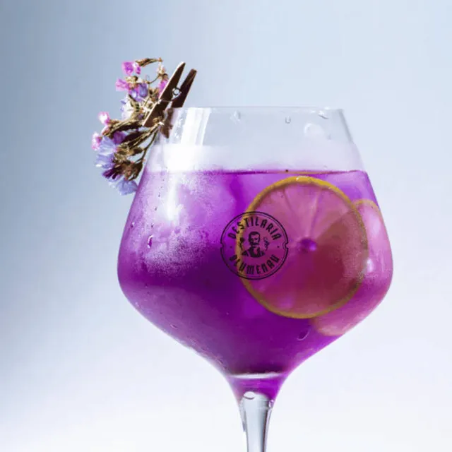 Drink Violet The Bravalley, servido para apreciação